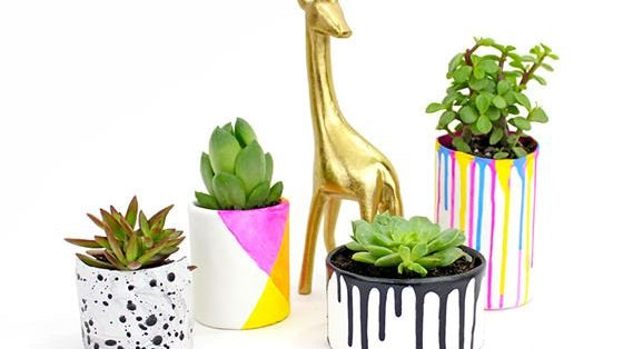 Ciceroni’s DIY Planter Ideas for a Green Home - Ciceroni
