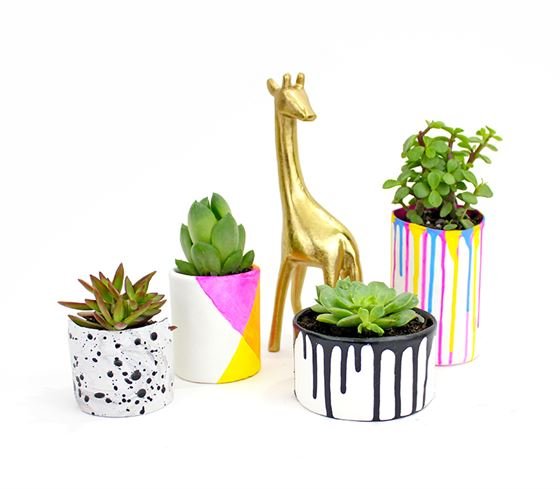 Ciceroni’s DIY Planter Ideas for a Green Home - Ciceroni