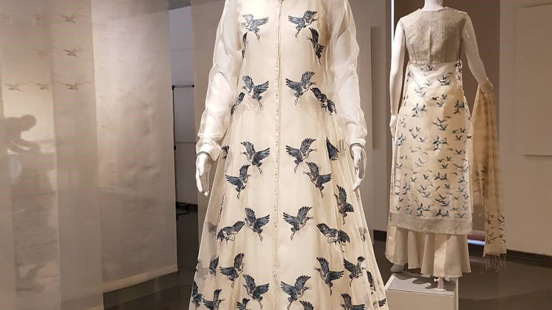 Fly high with Indigo – Asif Shaikh’s birds take off - Ciceroni