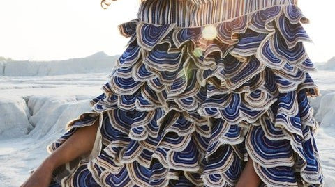 Mushroom Mania in the World of Fashion - Ciceroni