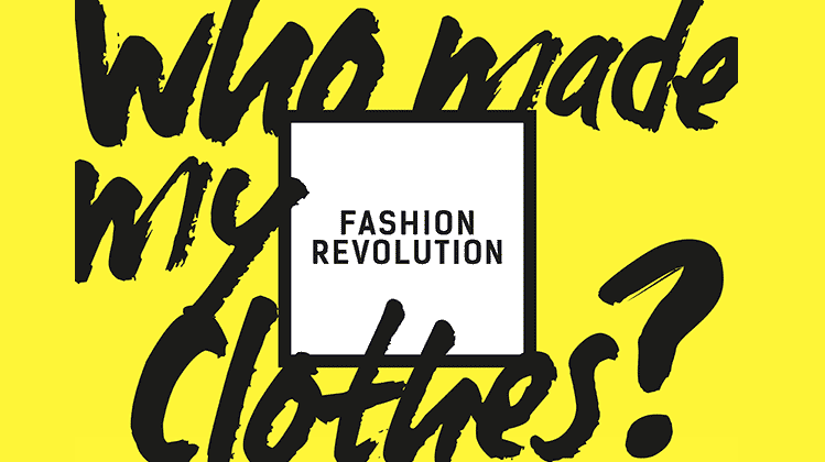 Sustainability Warriors of Ahmedabad - Ciceroni