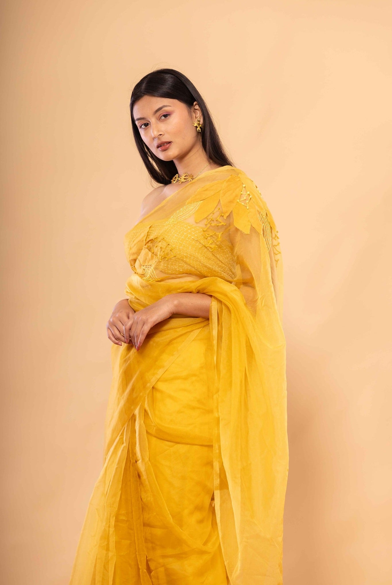 Agnee Saree - CiceroniSareeChambray & Co.