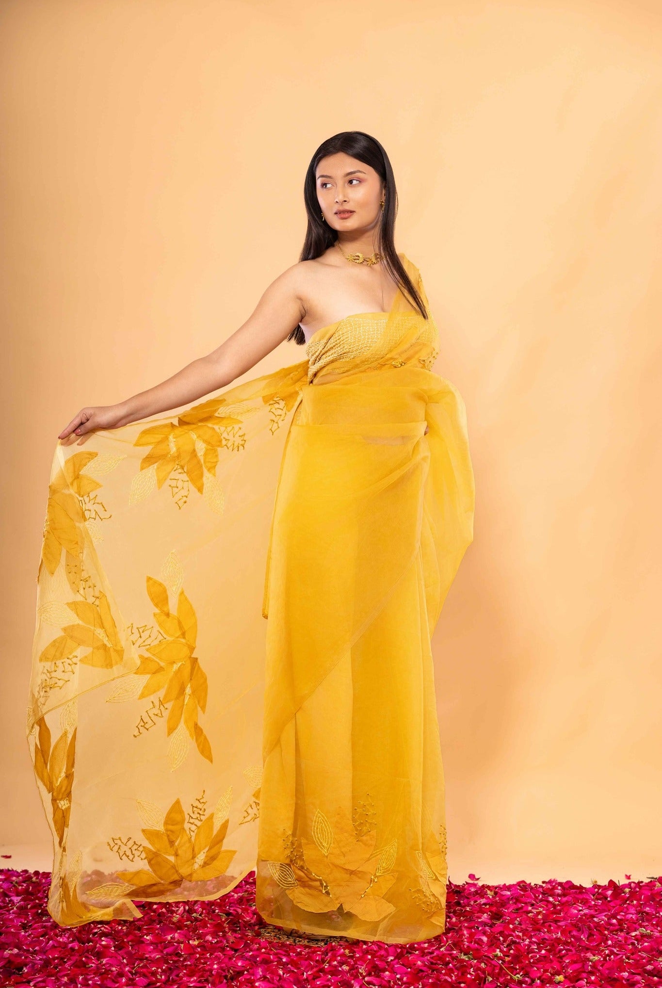 Agnee Saree - CiceroniSareeChambray & Co.