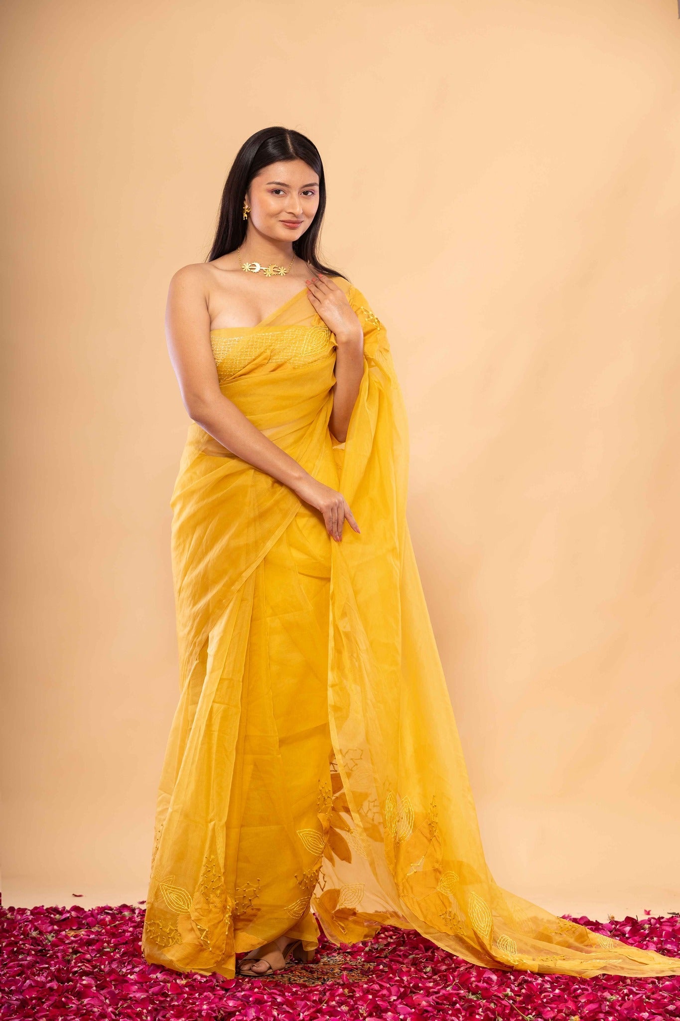 Agnee Saree - CiceroniSareeChambray & Co.