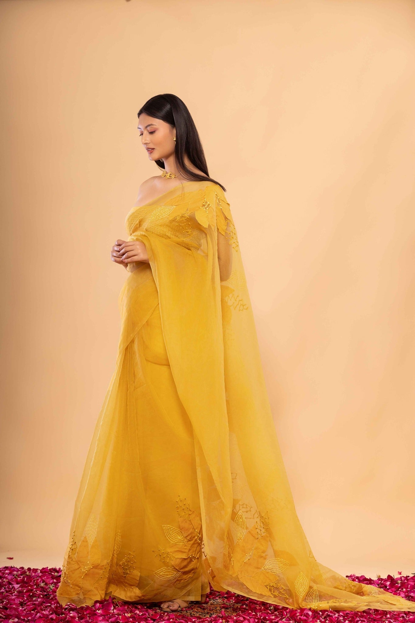 Agnee Saree - CiceroniSareeChambray & Co.