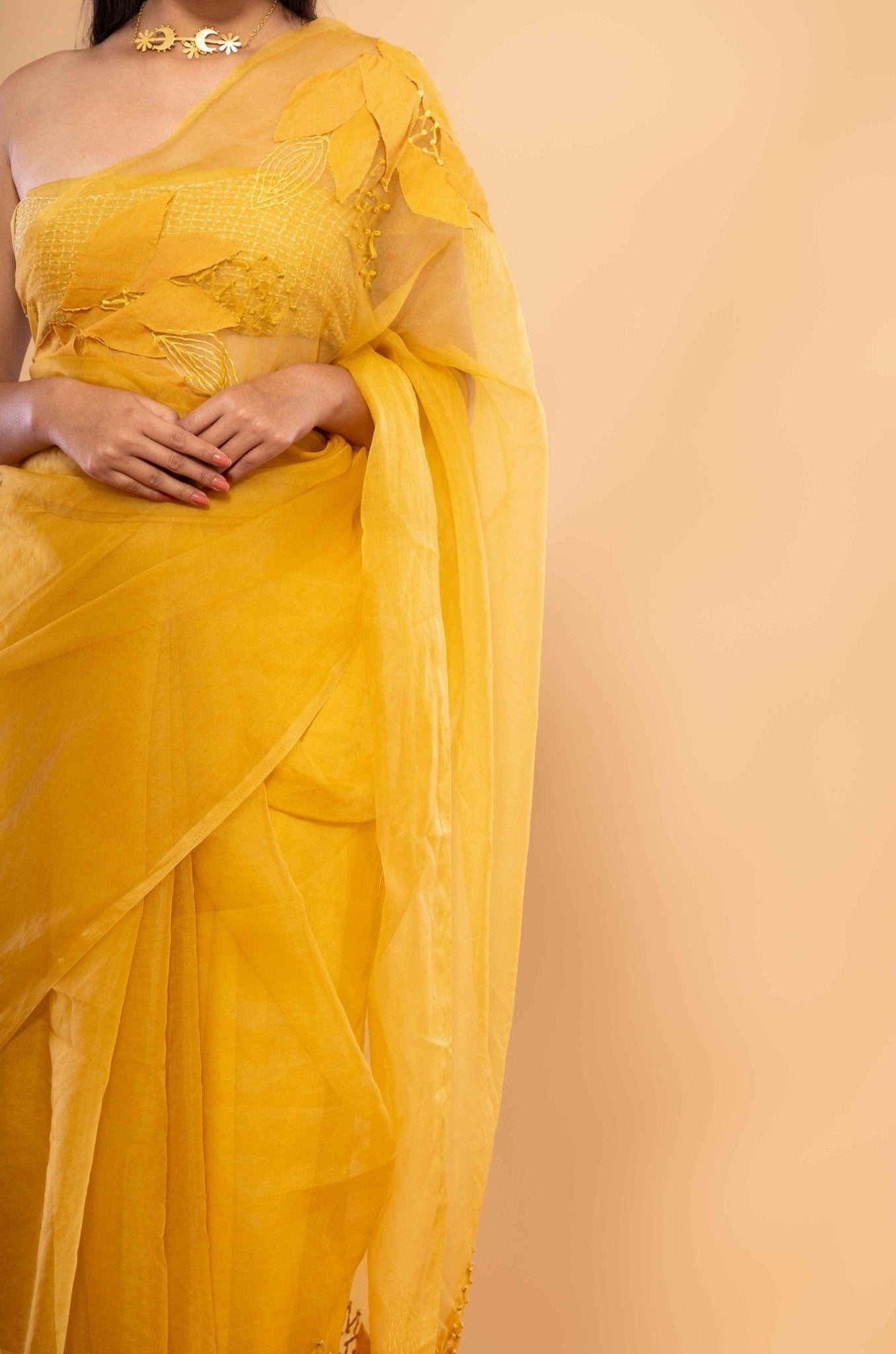Agnee Saree - CiceroniSareeChambray & Co.