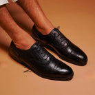 Assasino - Ciceronidmodot