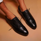 Assasino - Ciceronidmodot