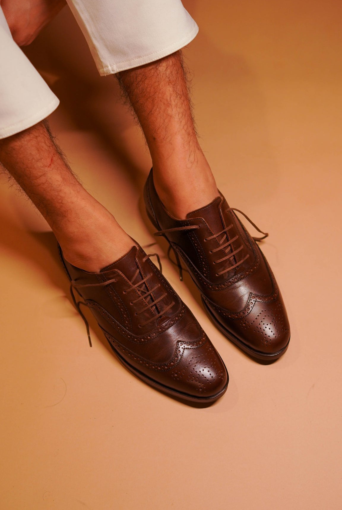 Bruno - Ciceronidmodot