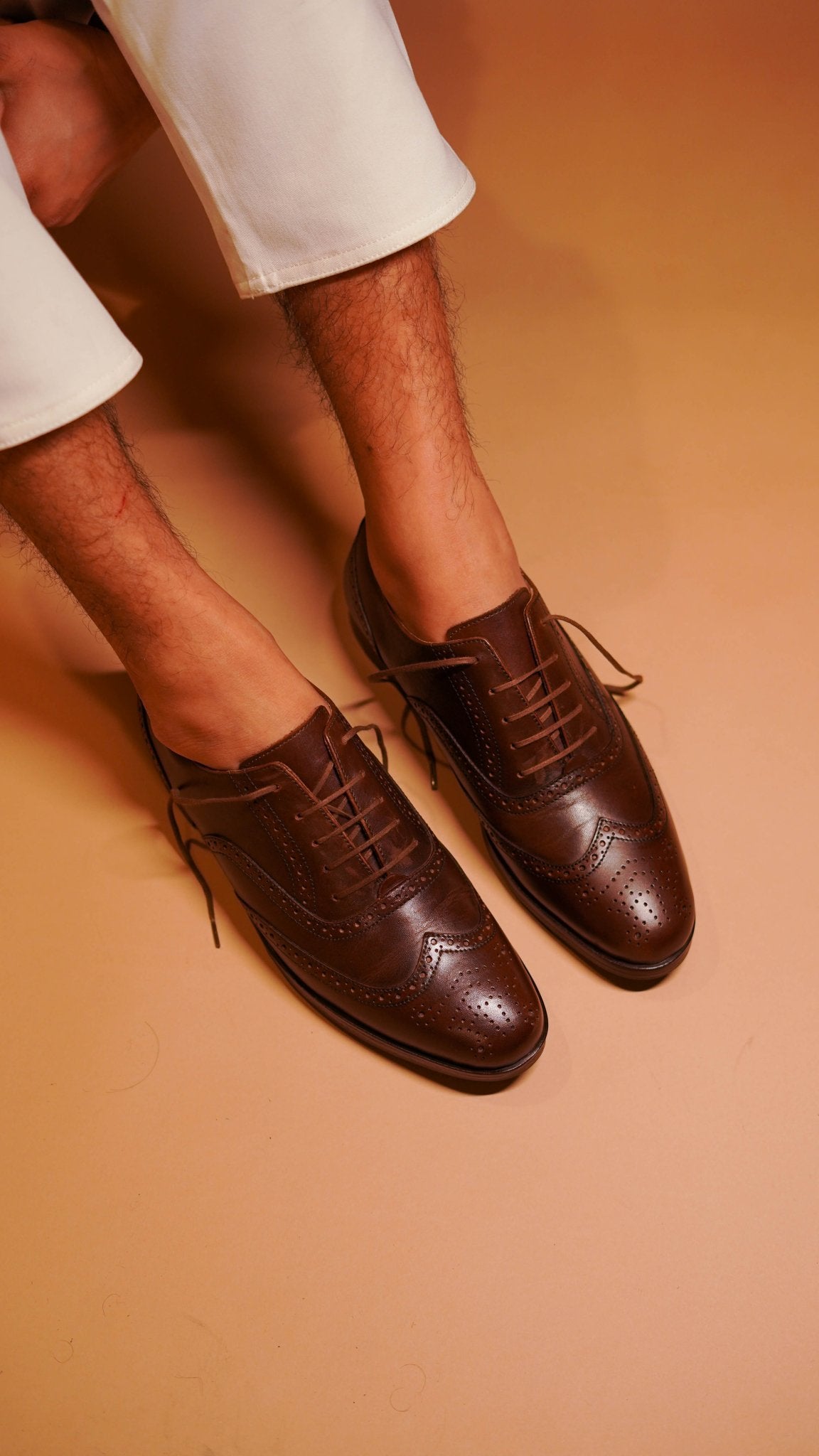 Bruno - Ciceronidmodot