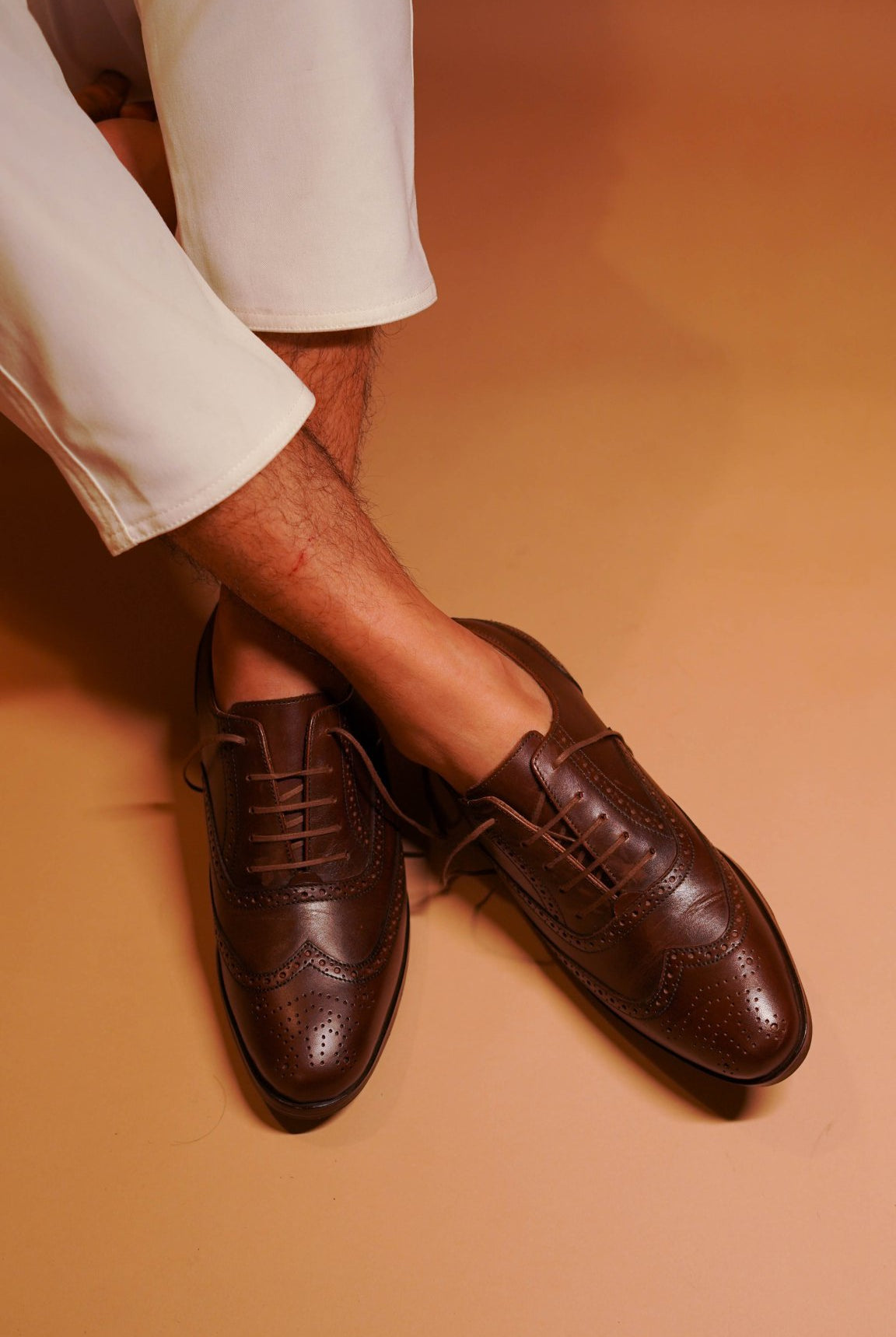 Bruno - Ciceronidmodot