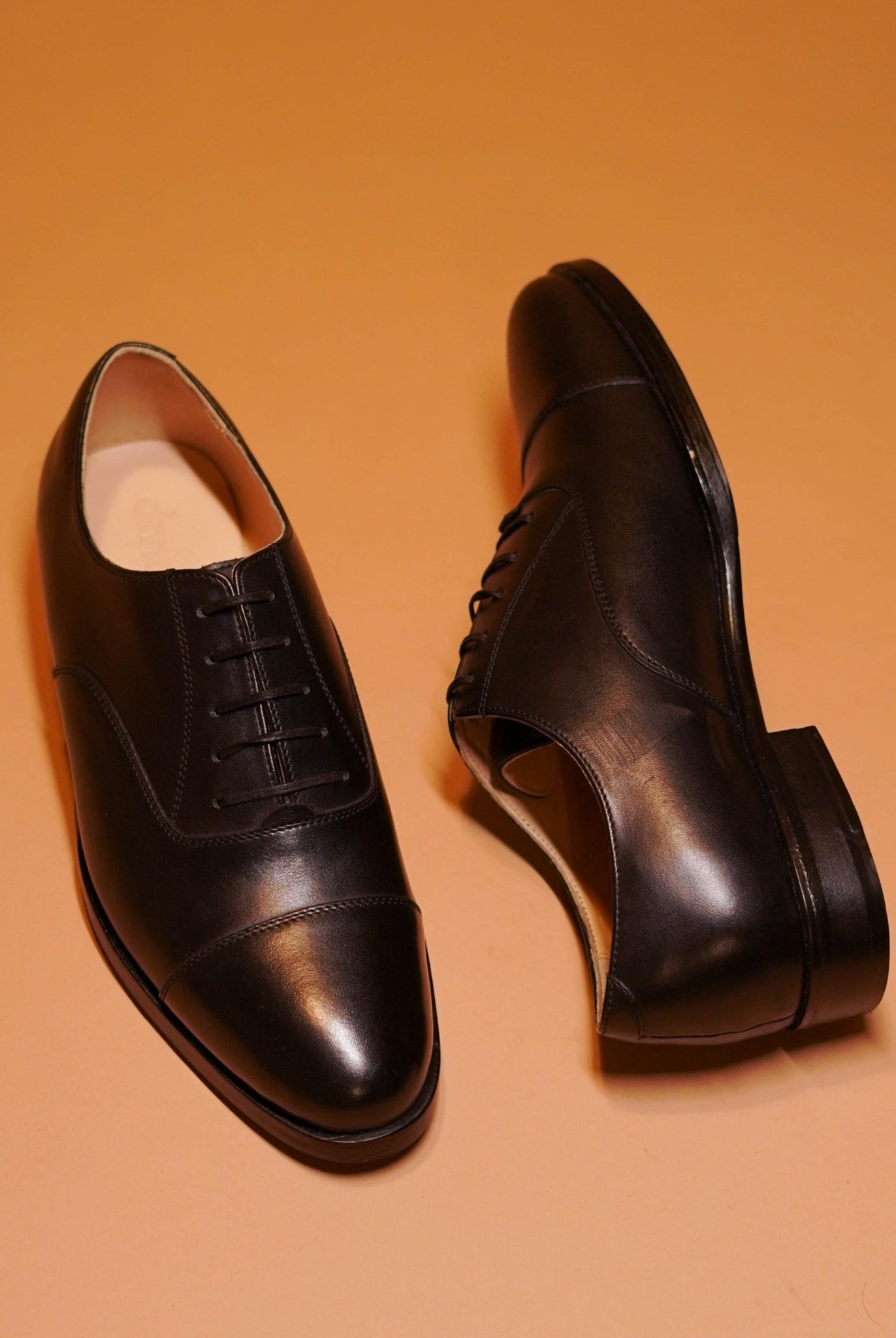 Capto Assasino - Ciceronidmodot