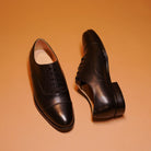 Capto Assasino - Ciceronidmodot