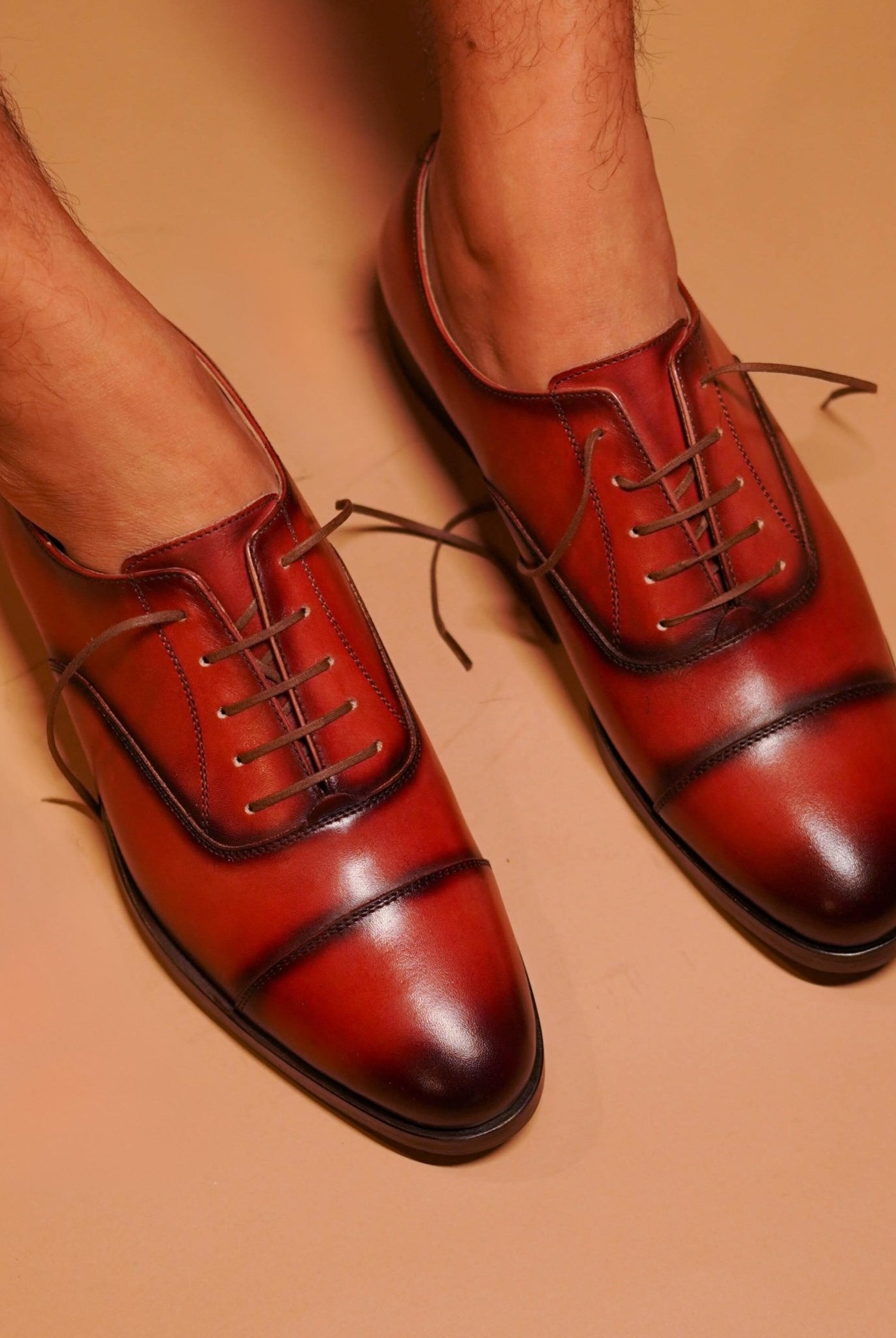 Cognaco - Ciceronidmodot