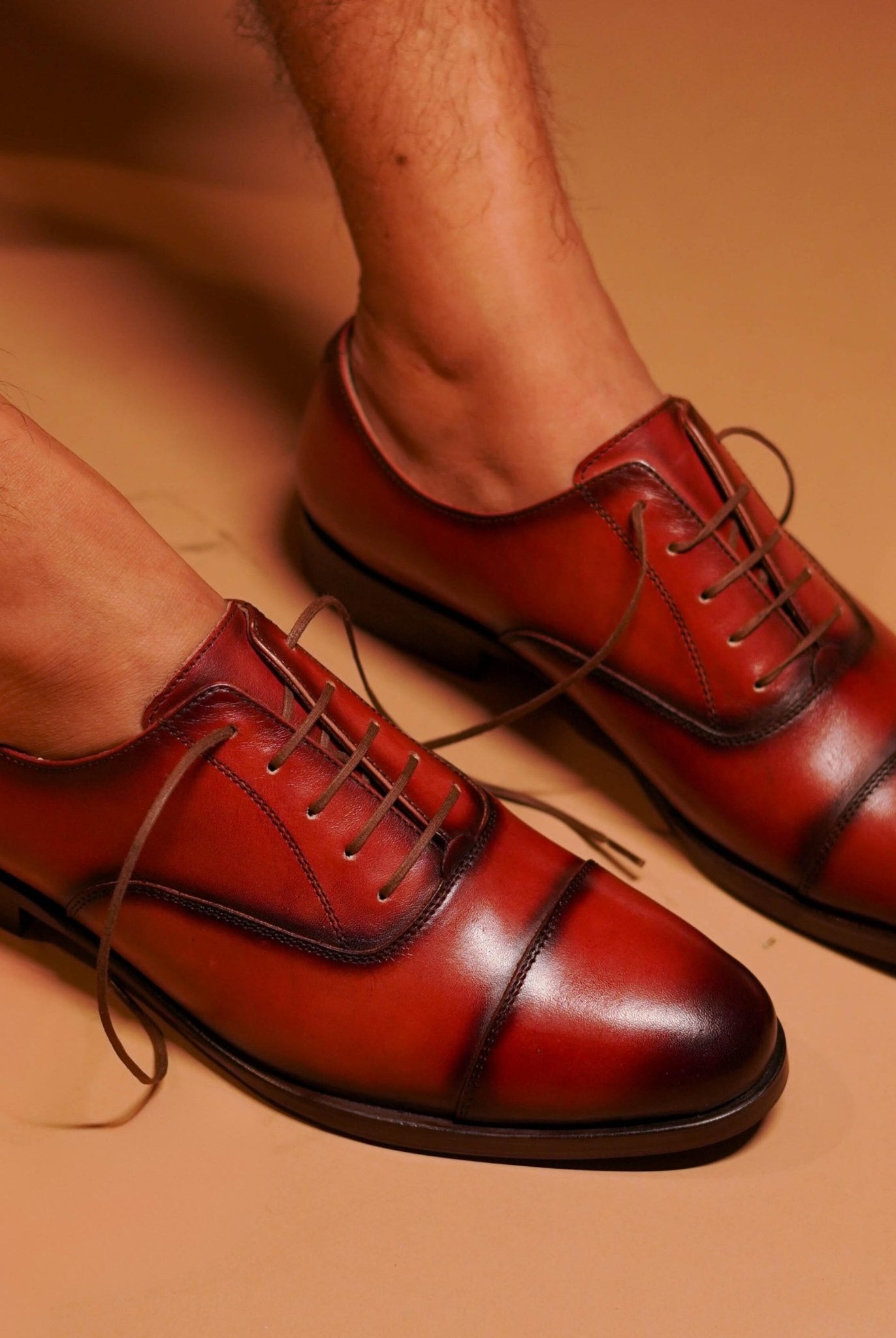 Cognaco - Ciceronidmodot