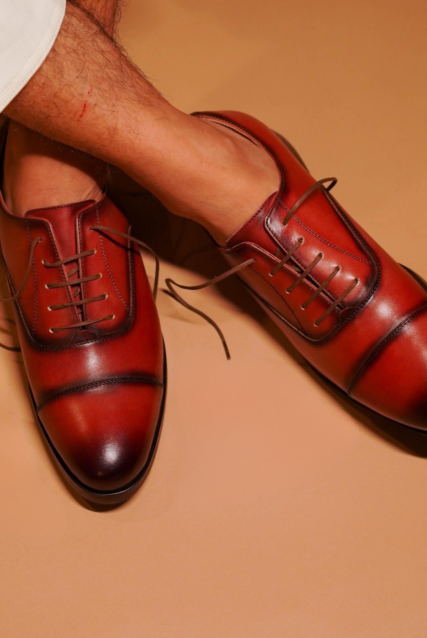 Cognaco - Ciceronidmodot