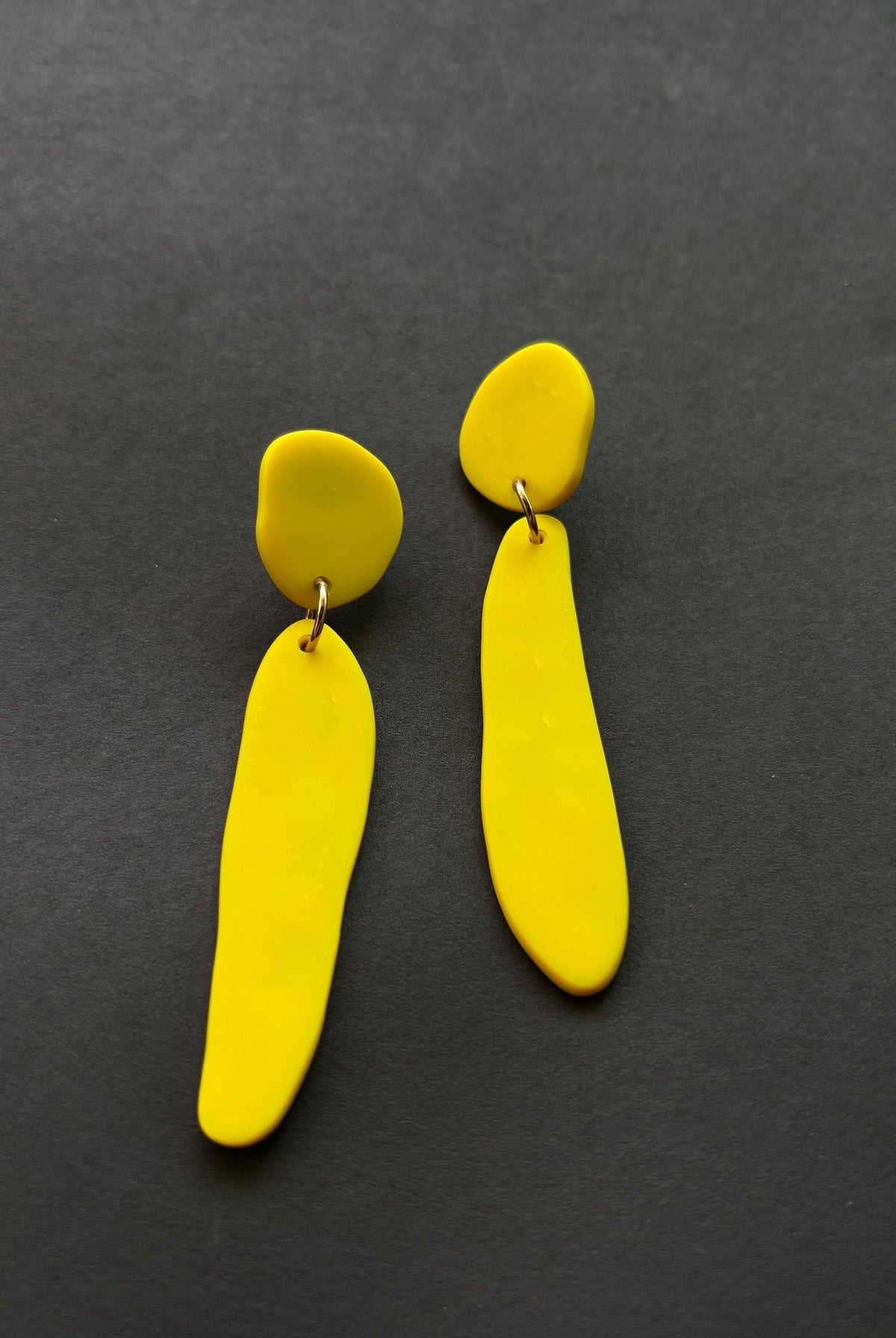 Fem Quads - CiceroniEarringsColoured Ears