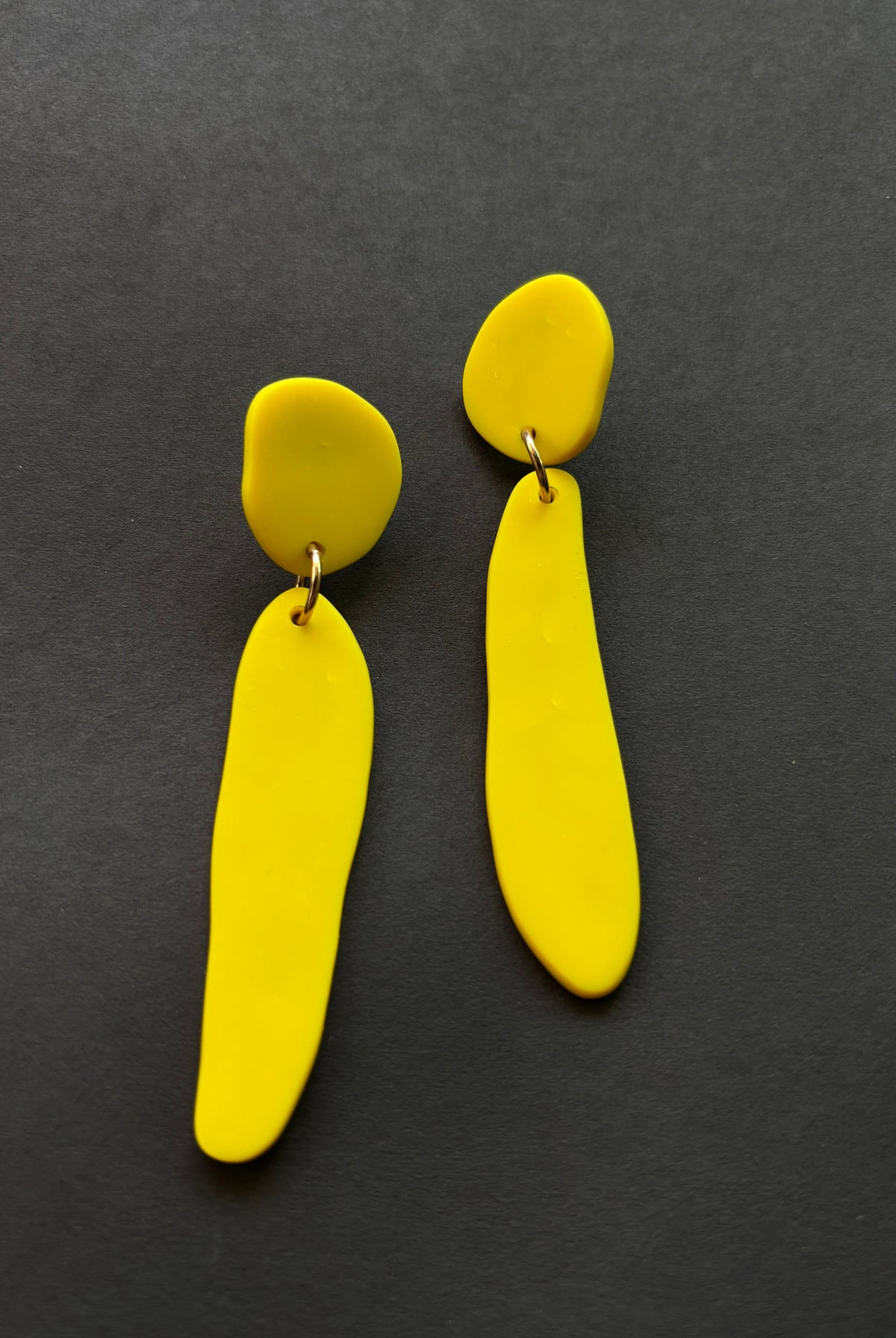 Fem Quads - CiceroniEarringsColoured Ears
