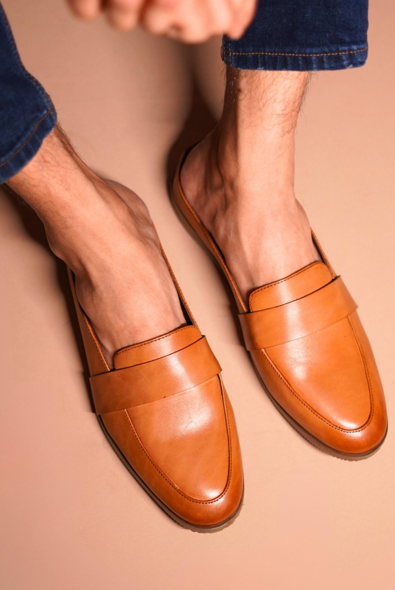 Hoffler Marrone - Ciceronidmodot