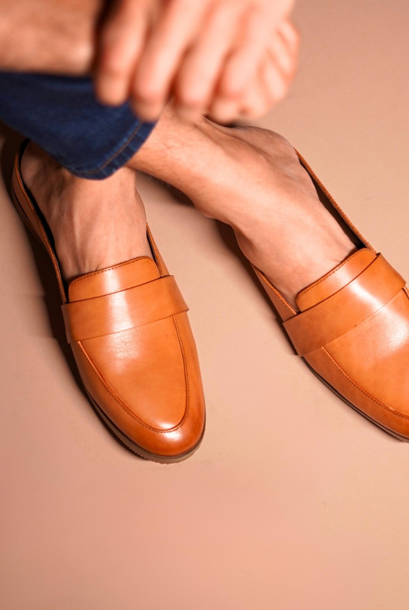 Hoffler Marrone - Ciceronidmodot