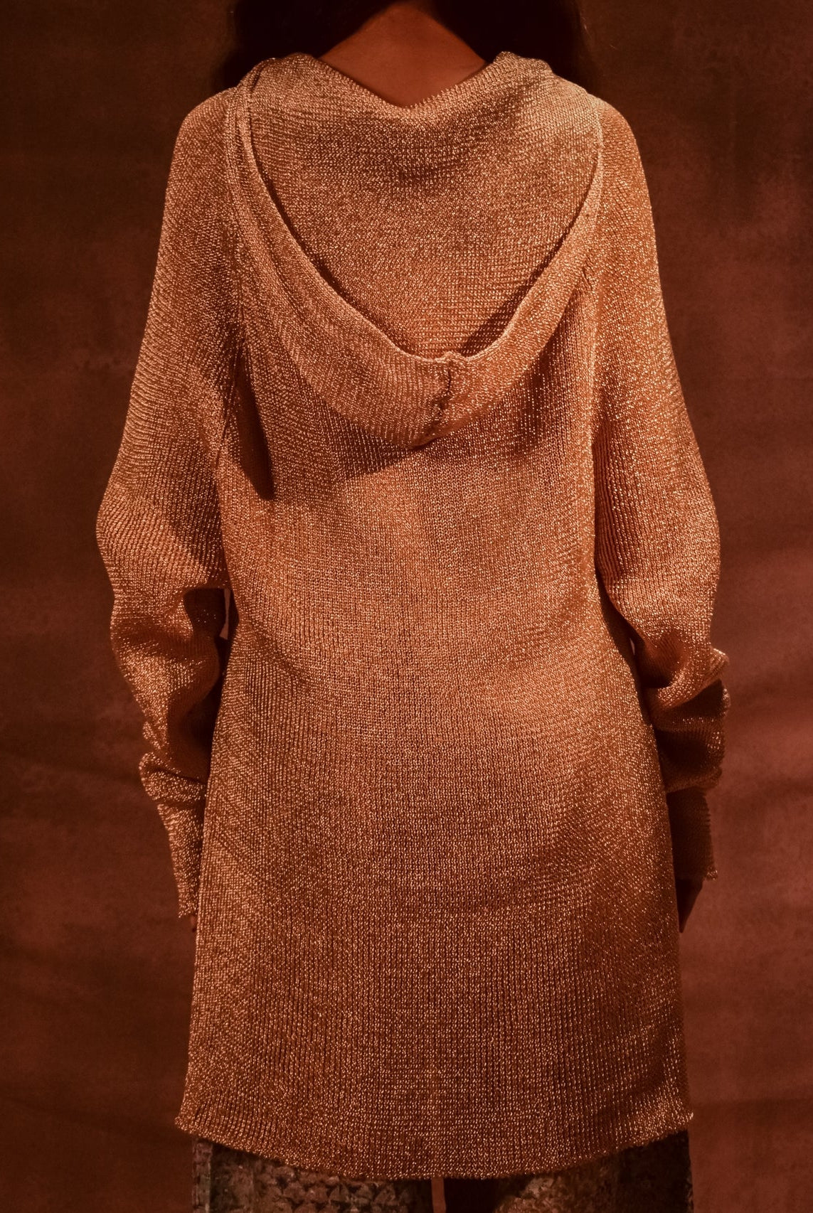 Metal Hooded Jumper - CiceroniDressesAnam Husain