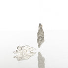 Oak Bark Earrings - CiceroniEarringsStudio Kassa