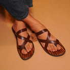 Pelle Marrone - Ciceronidmodot