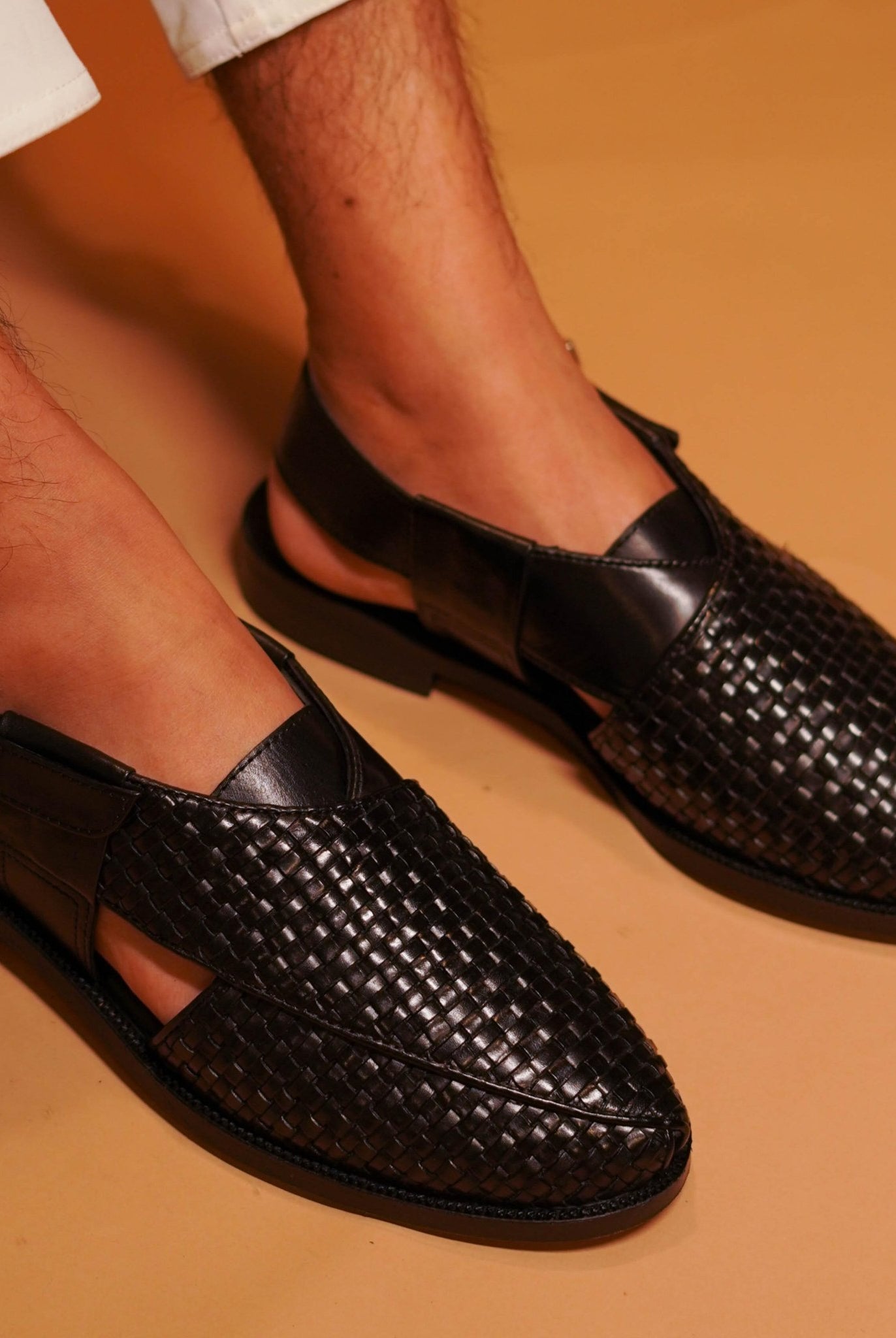 Pesha Nera - Ciceronidmodot