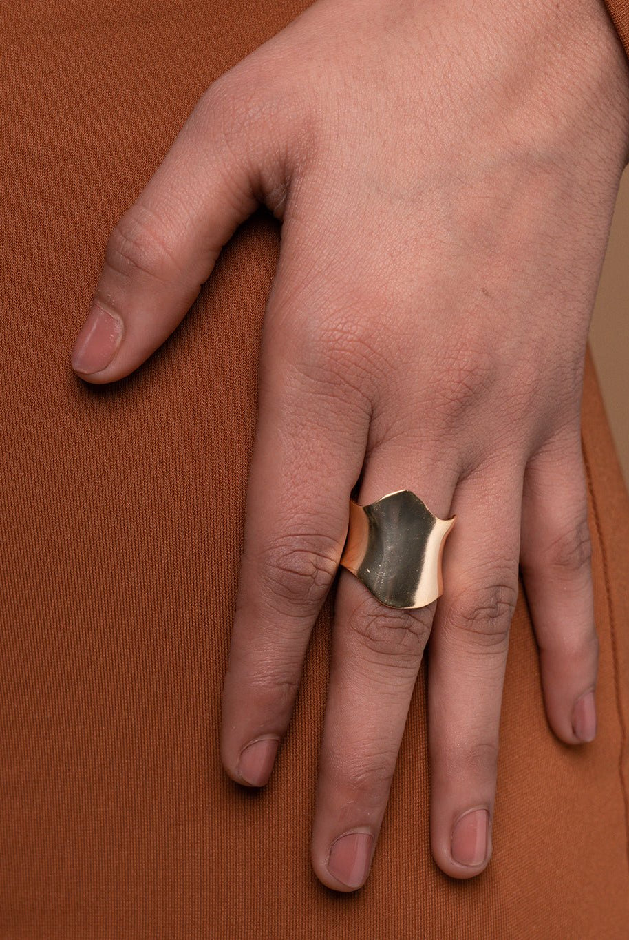 Rollercoaster Ring - CiceroniRingsEquiivalence