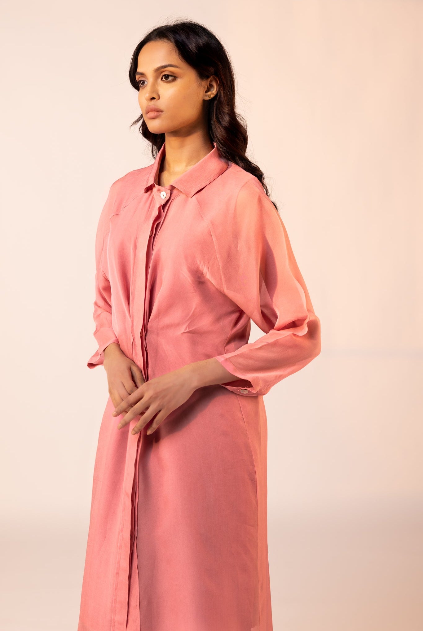 Rose Sheer Dress - CiceroniDressesOtouto