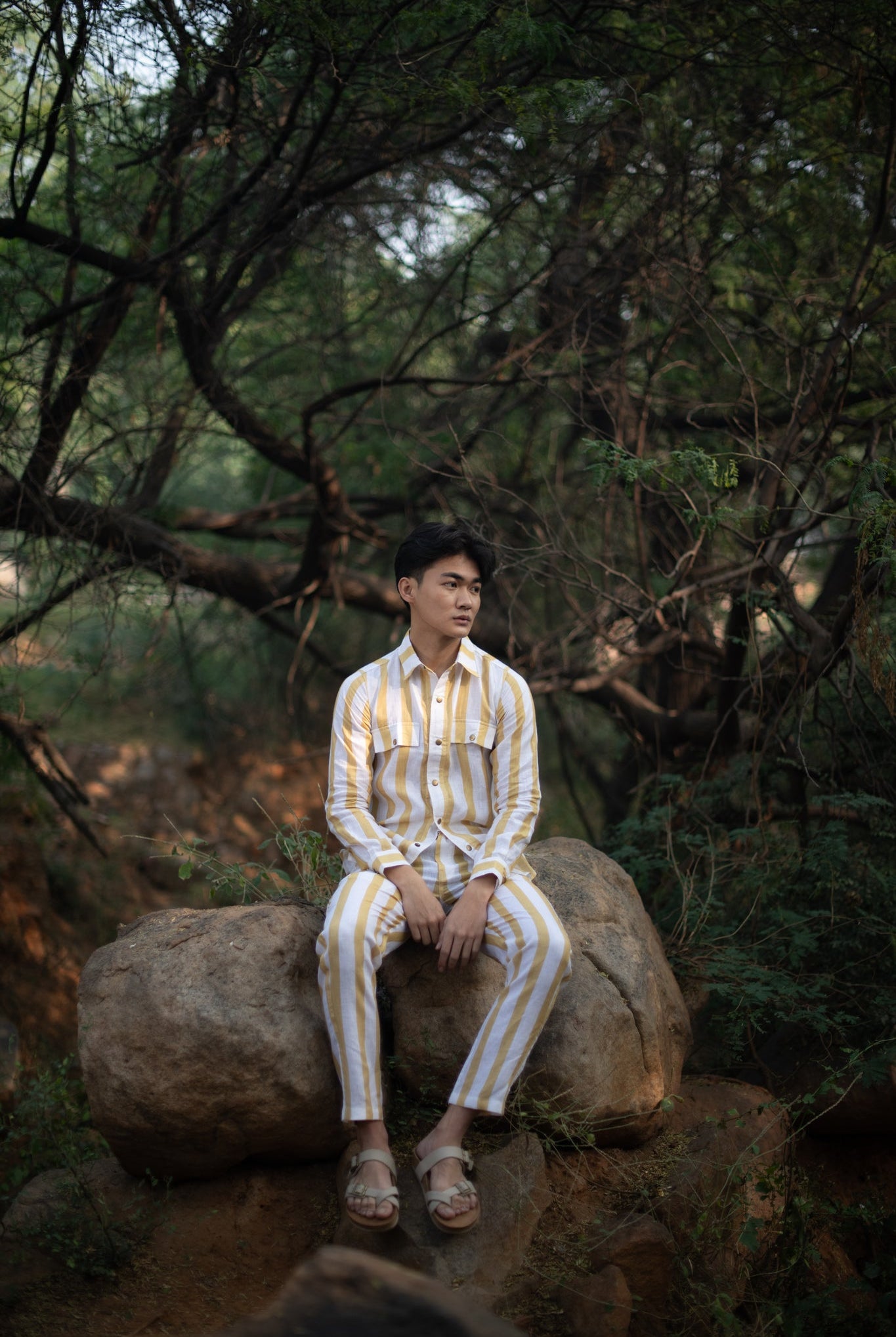 Serenity Pants - Yellow Stripe - CiceroniPantsThe Terra Tribe