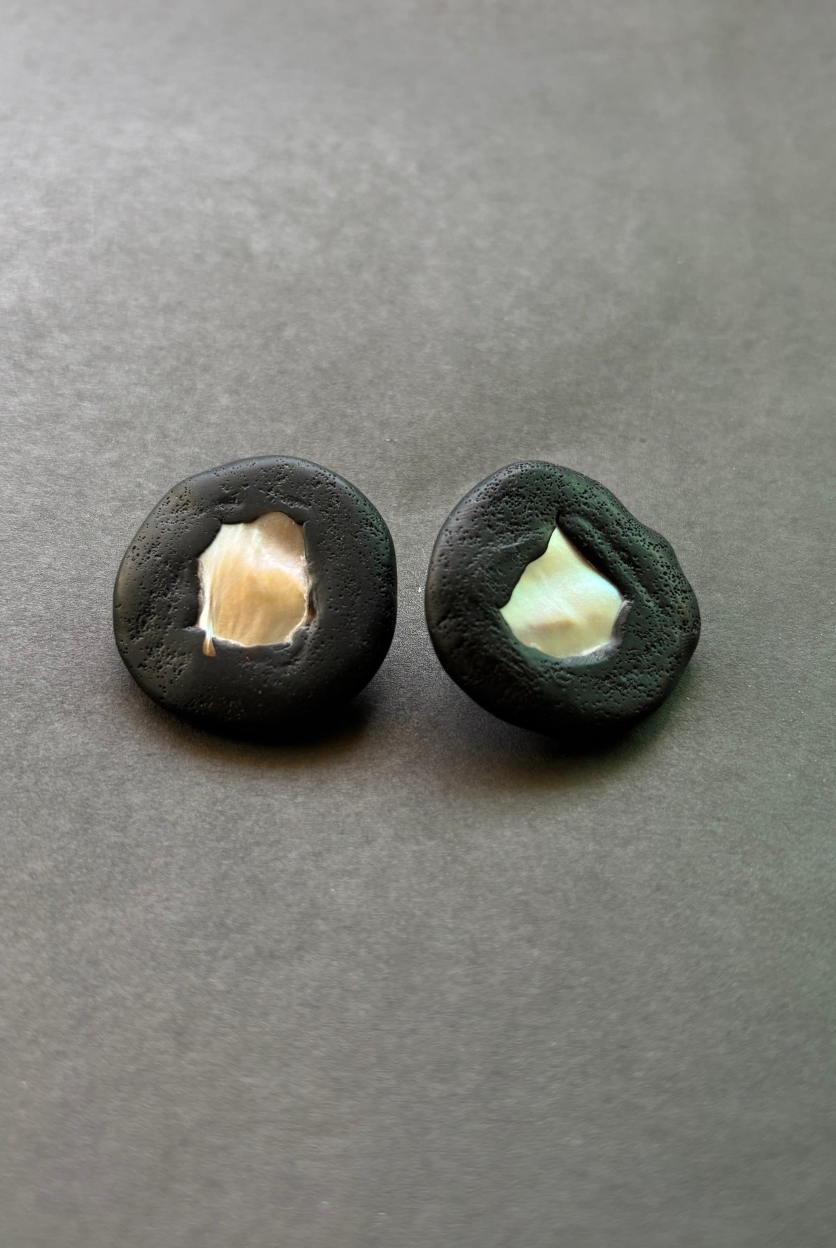 Shell Studs - CiceroniEarringsColoured Ears