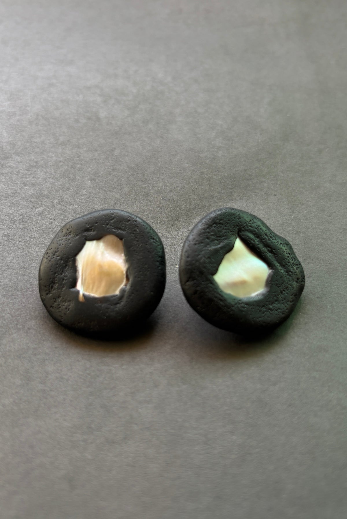Shell Studs - CiceroniEarringsColoured Ears