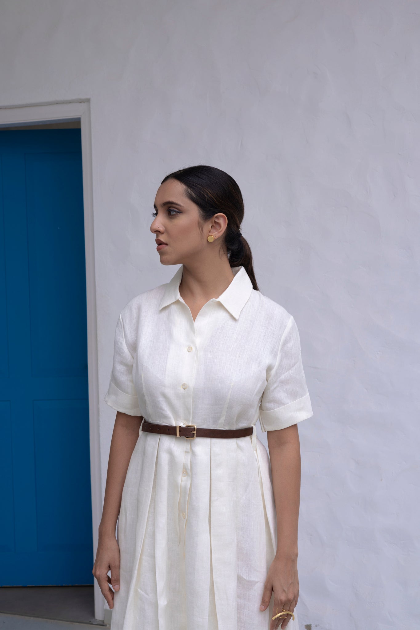 Shirt Waist Dress - CiceroniDressesThoughts Into Things