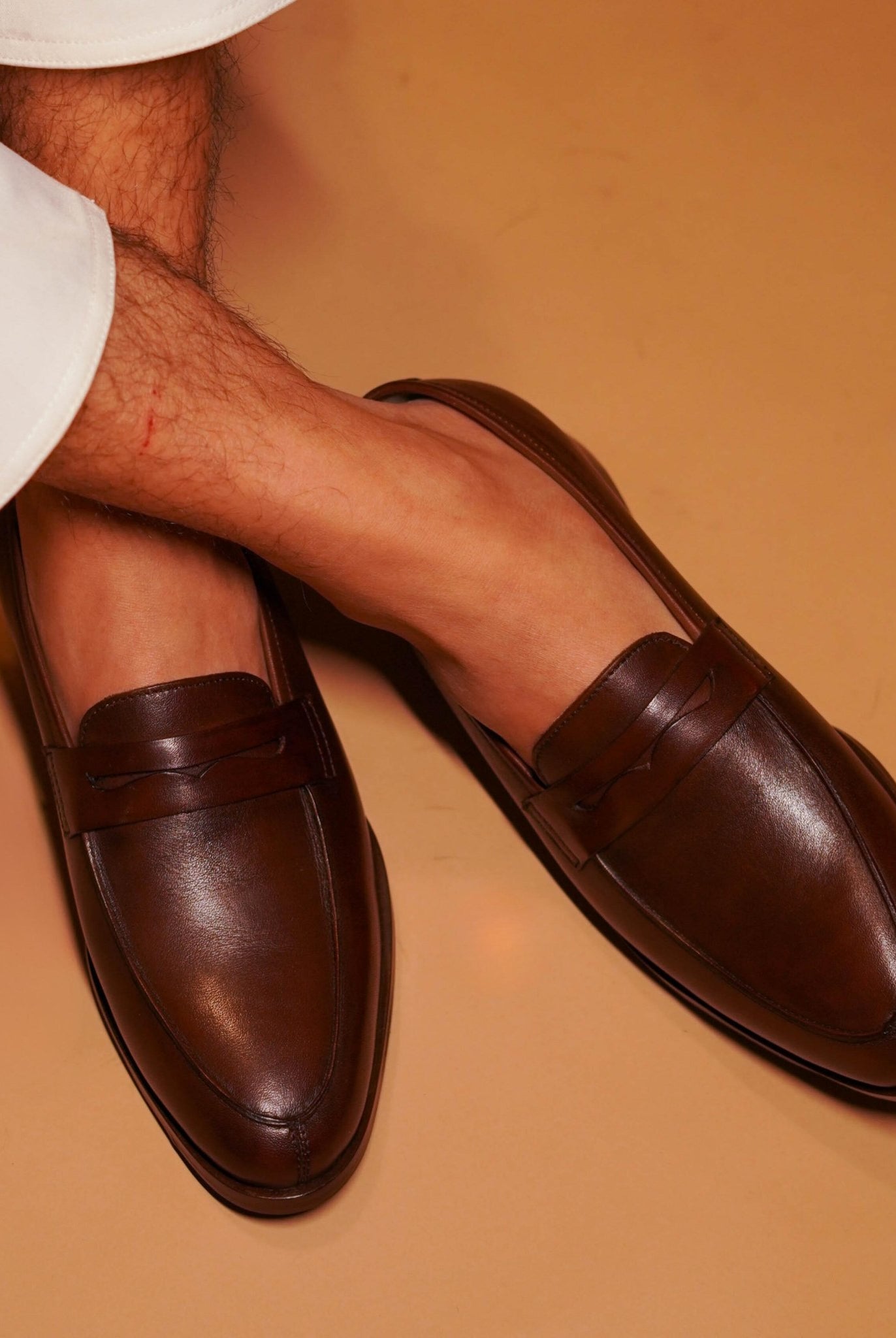 Soavo - Ciceronidmodot