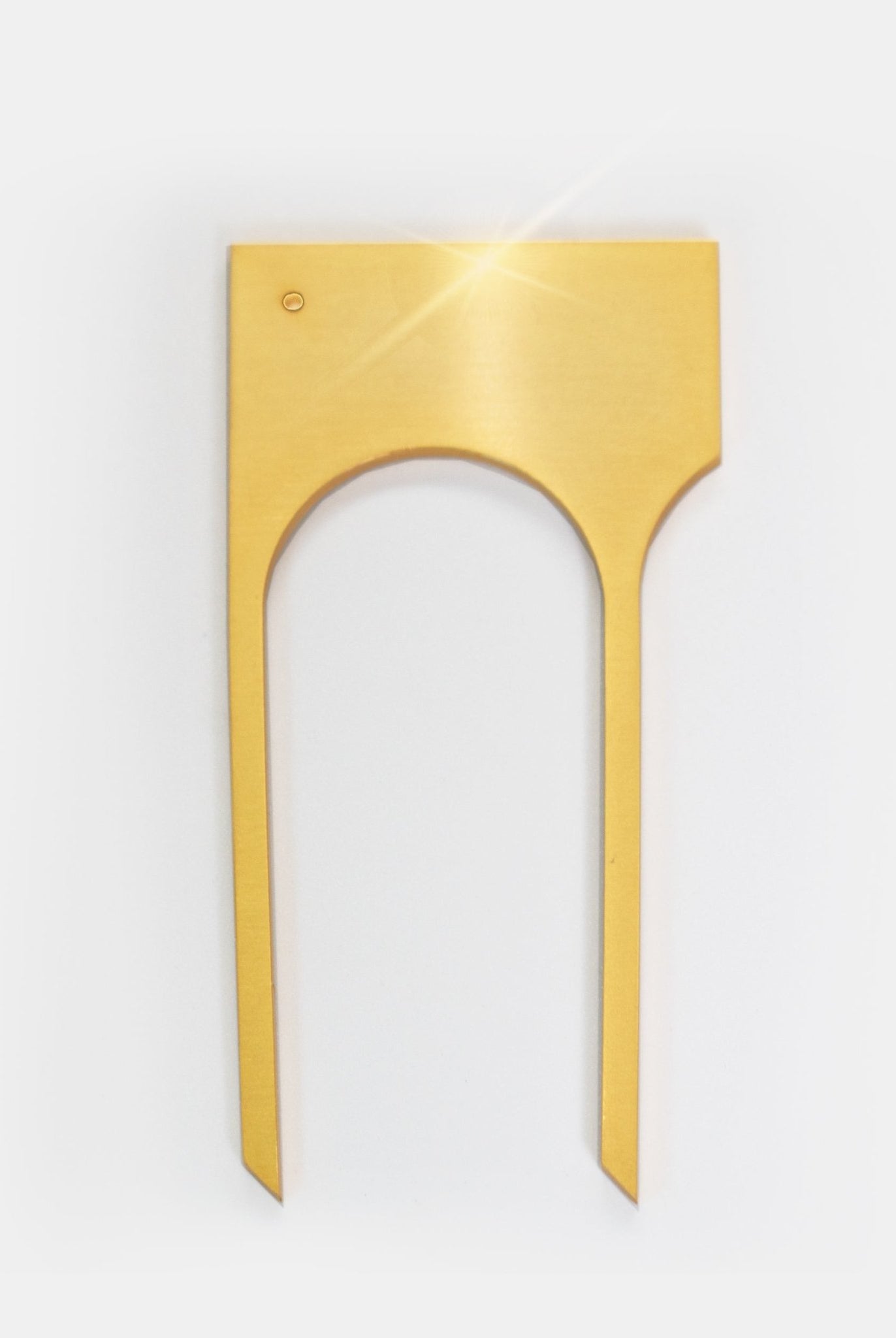 All Hail The Mane - CiceroniHair PinNO.NA.MÈ