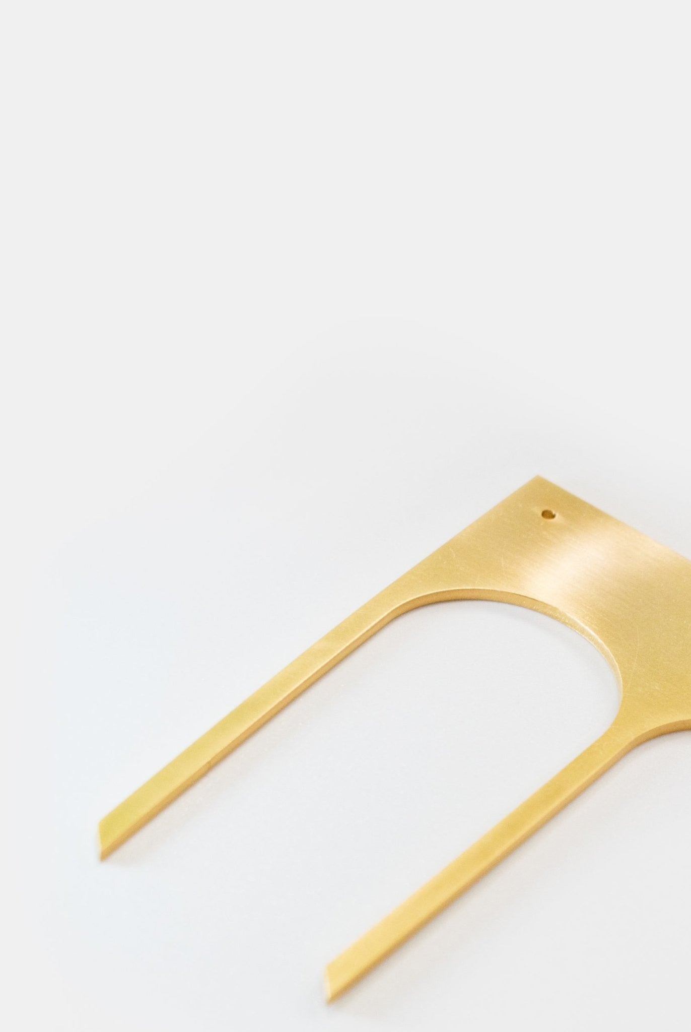 All Hail The Mane - CiceroniHair PinNO.NA.MÈ