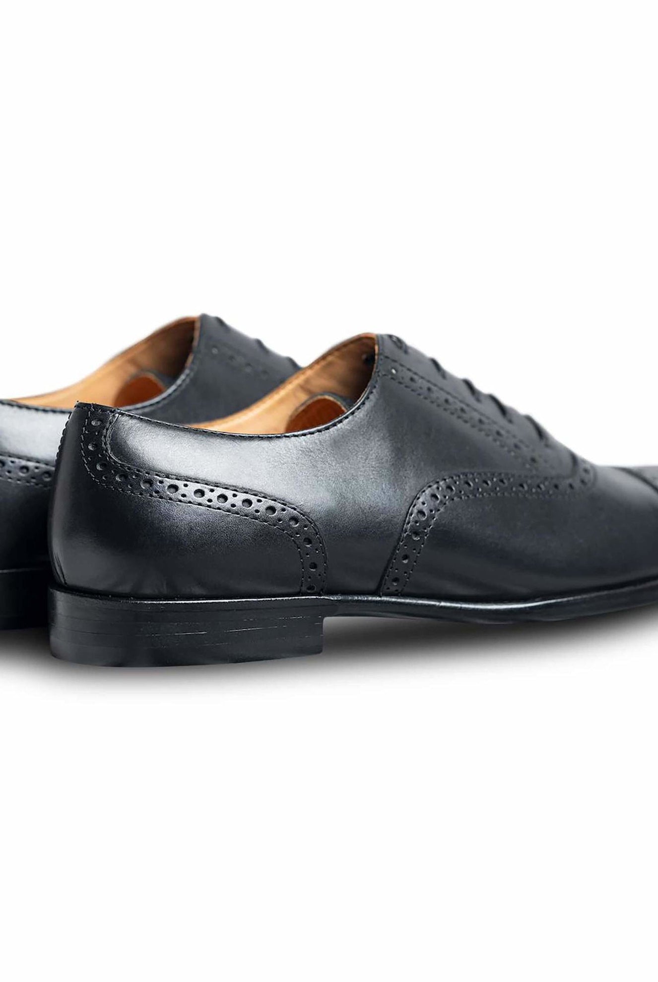 Assasino - Ciceronidmodot