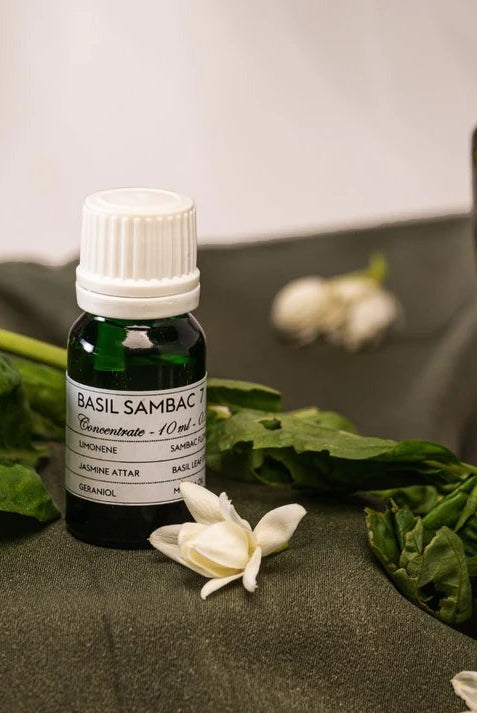 Basil Infused in Sambac Diffuser Oil - CiceroniDiffuser OilNASO