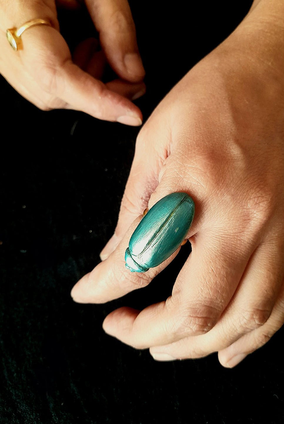 Beetle Ring - CiceroniRingsAranya Earthcraft