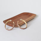 Bindu Earrings - CiceroniEarringsPaulami