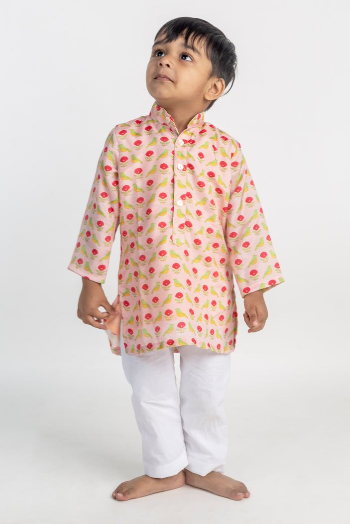 Bird Jaal Printed Kurta Set - CiceroniKurta Set, Festive wearMr. Brat