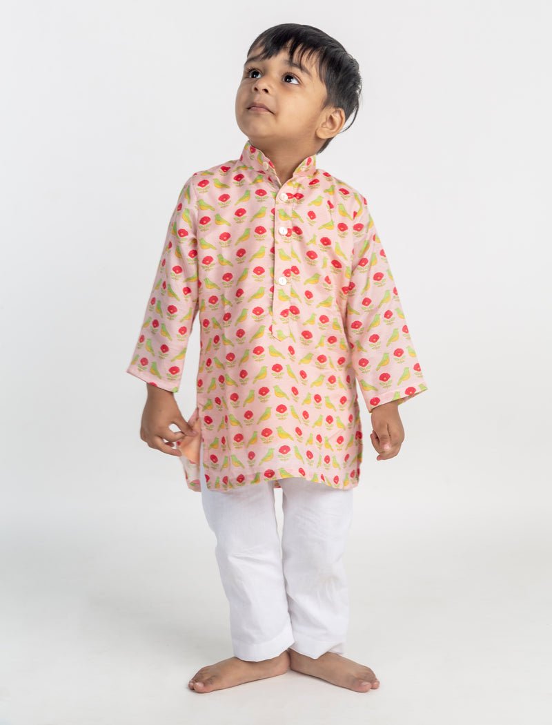Bird Jaal Printed Kurta Set - CiceroniKurta Set, Festive wearMr. Brat