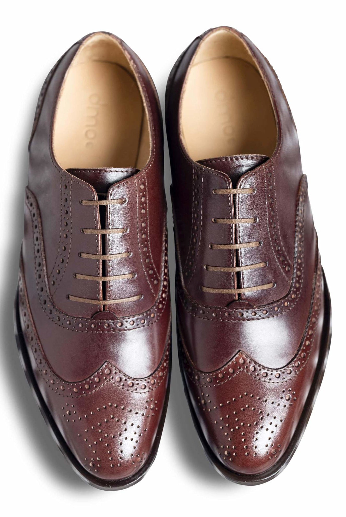 Bruno - Ciceronidmodot