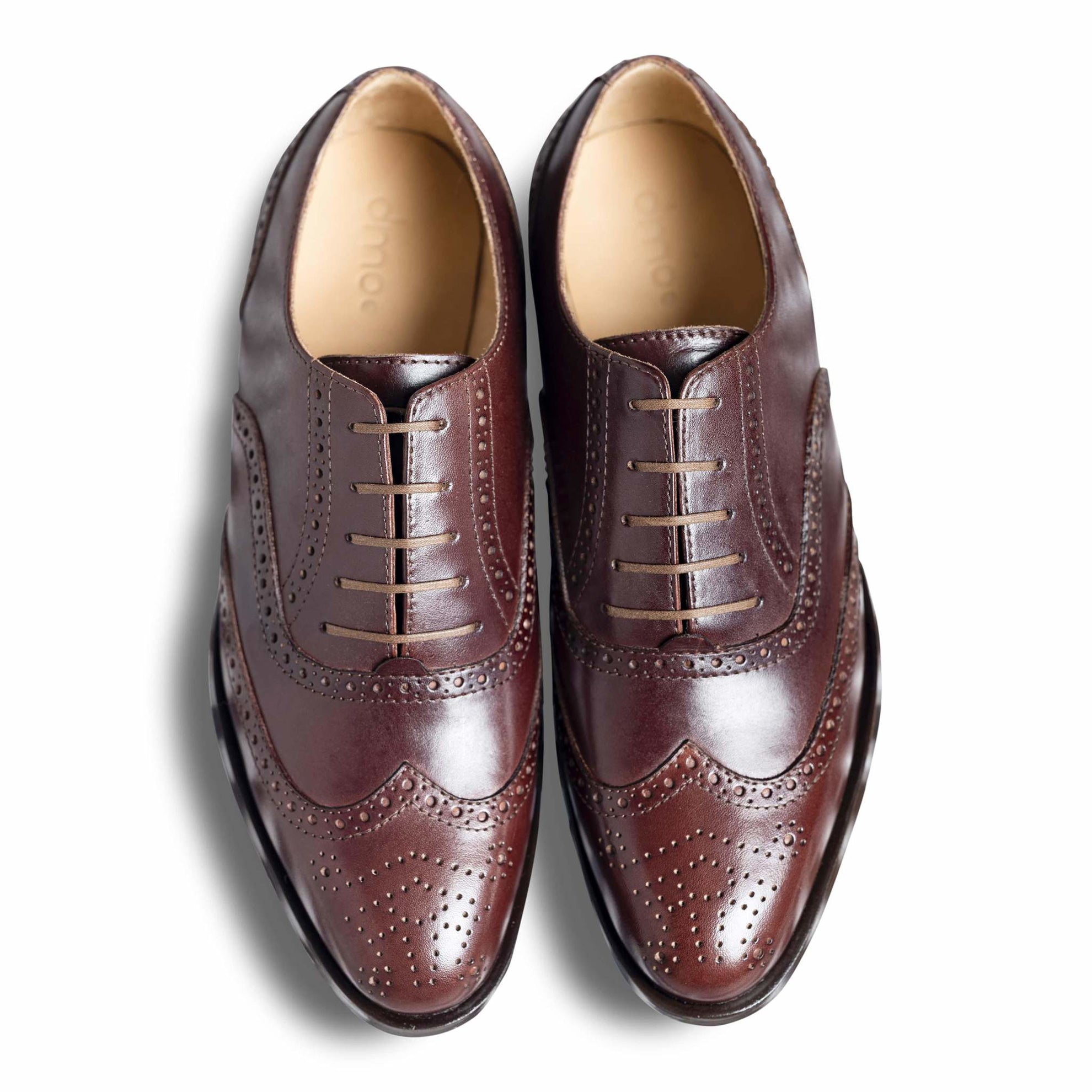 Bruno - Ciceronidmodot