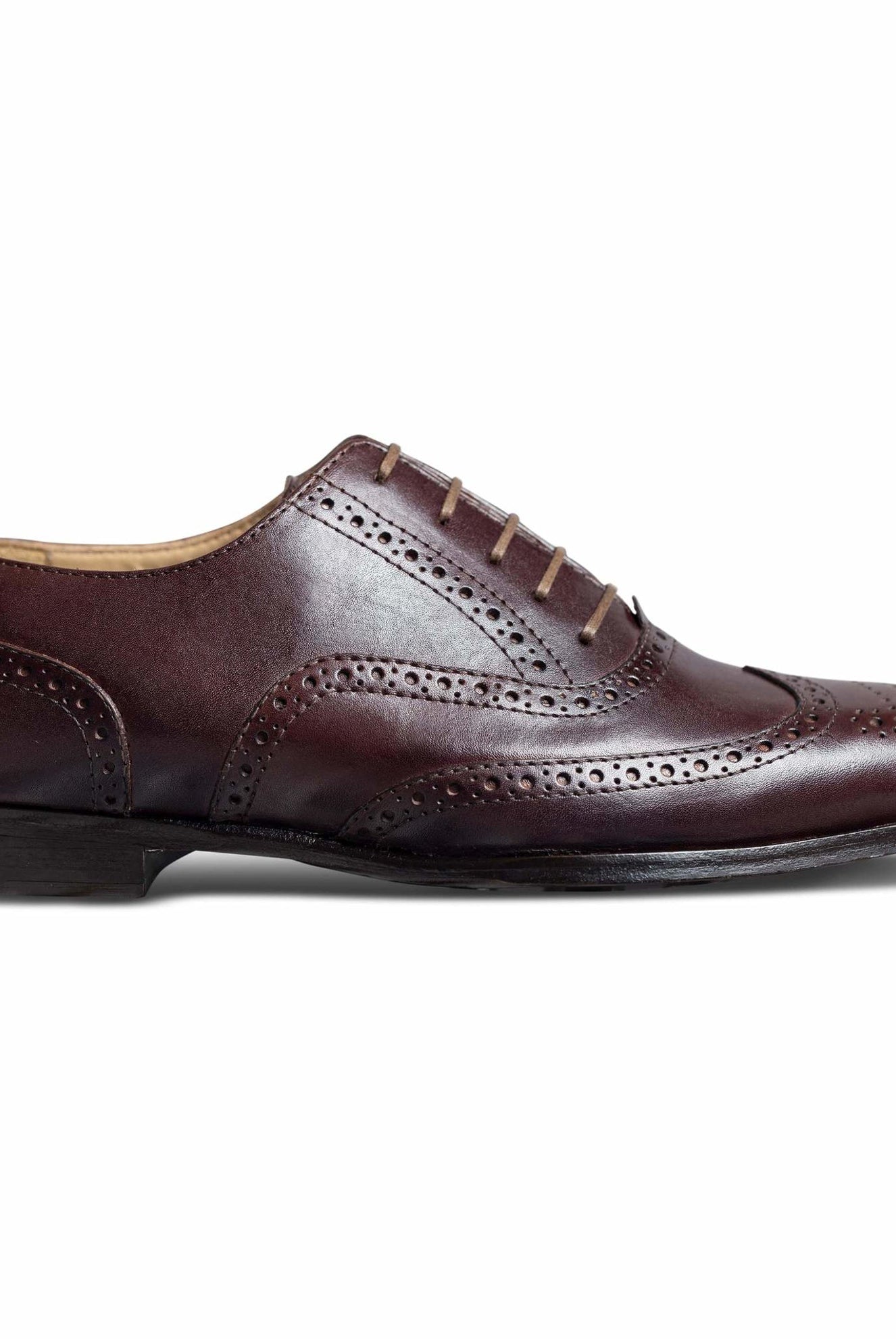 Bruno - Ciceronidmodot