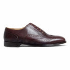 Bruno - Ciceronidmodot