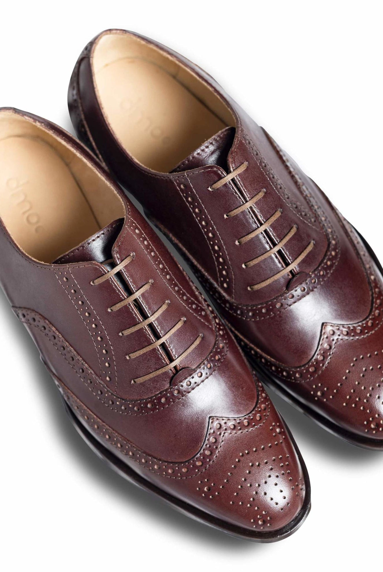 Bruno - Ciceronidmodot