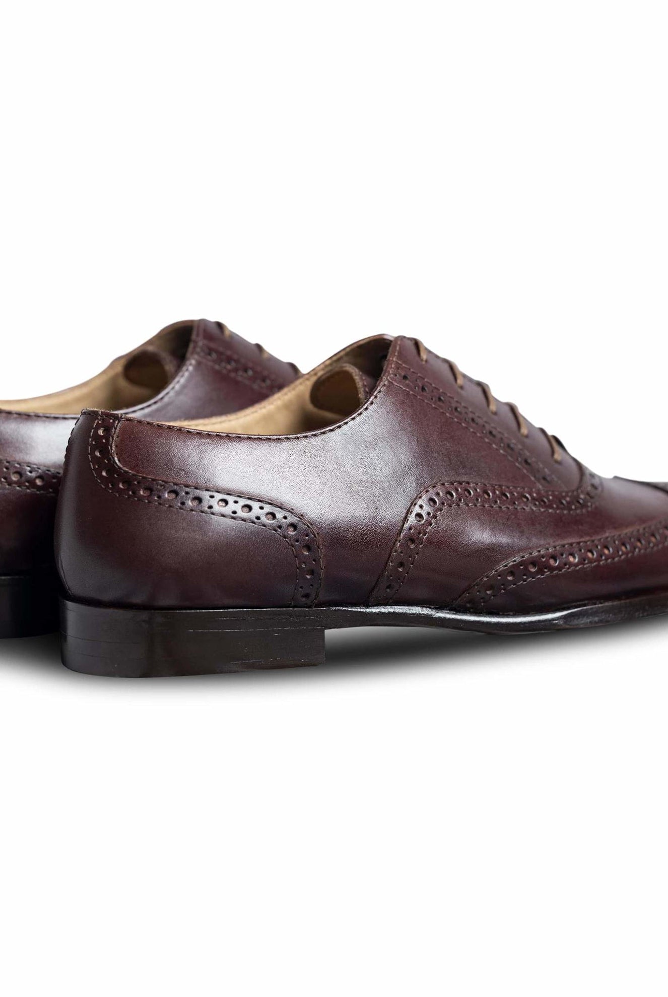 Bruno - Ciceronidmodot