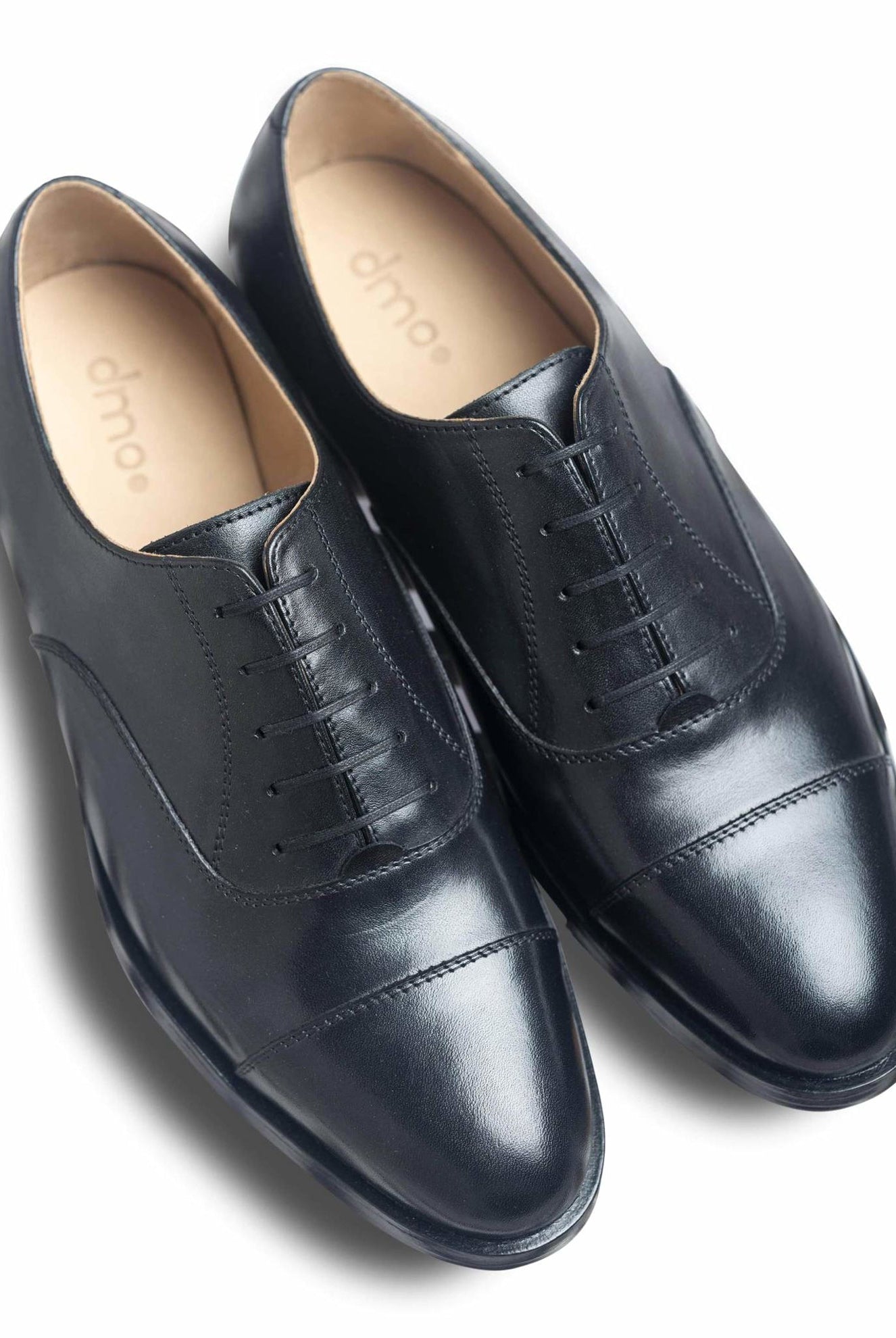 Capto Assasino - Ciceronidmodot